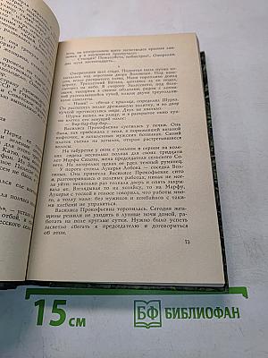 Чайка