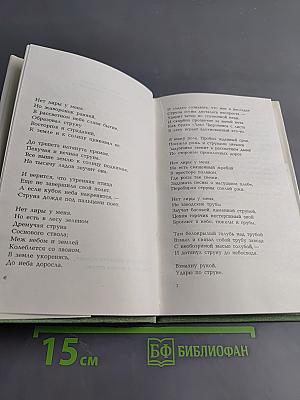 Человек
