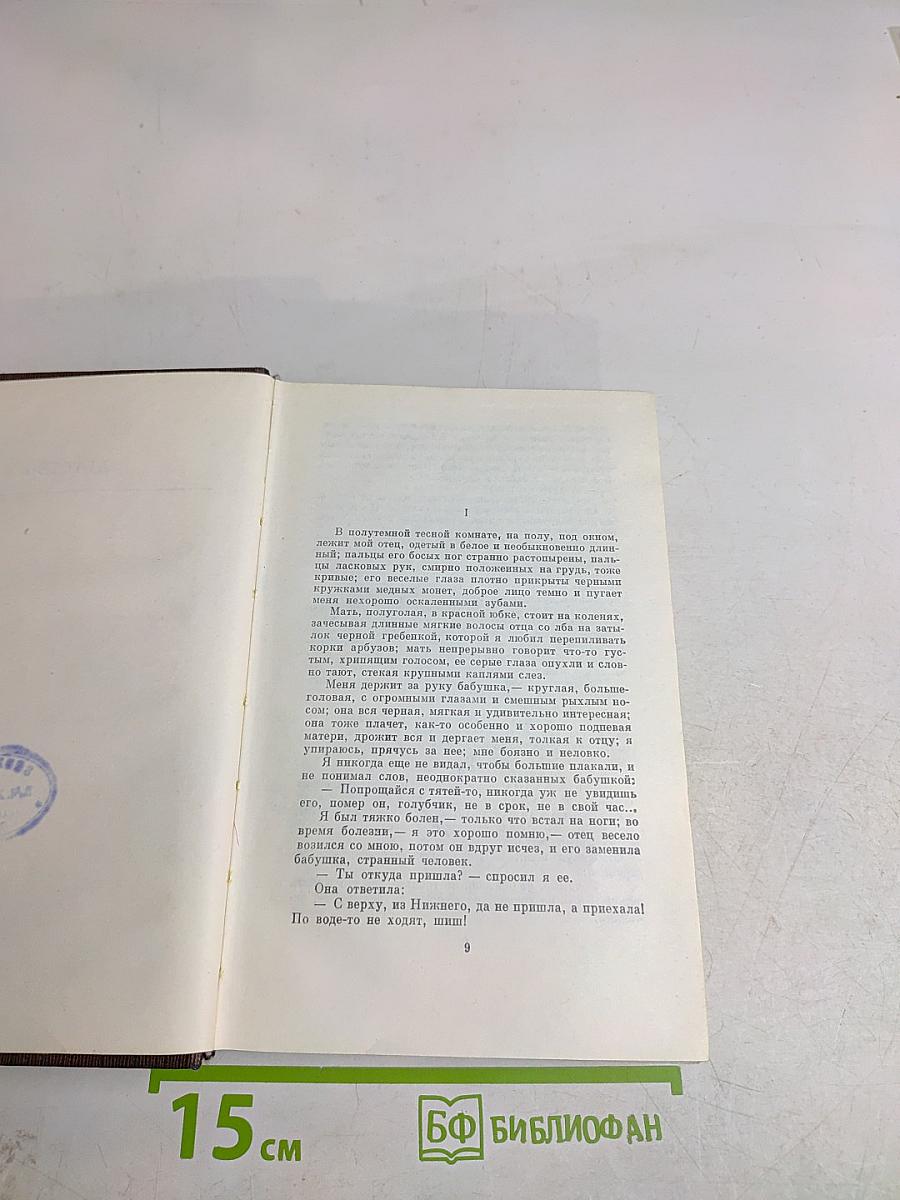М. Горький. Собрание сочинений в тридцати томах. Том пятнадцатый. Повести. Наброски. 1910-1915