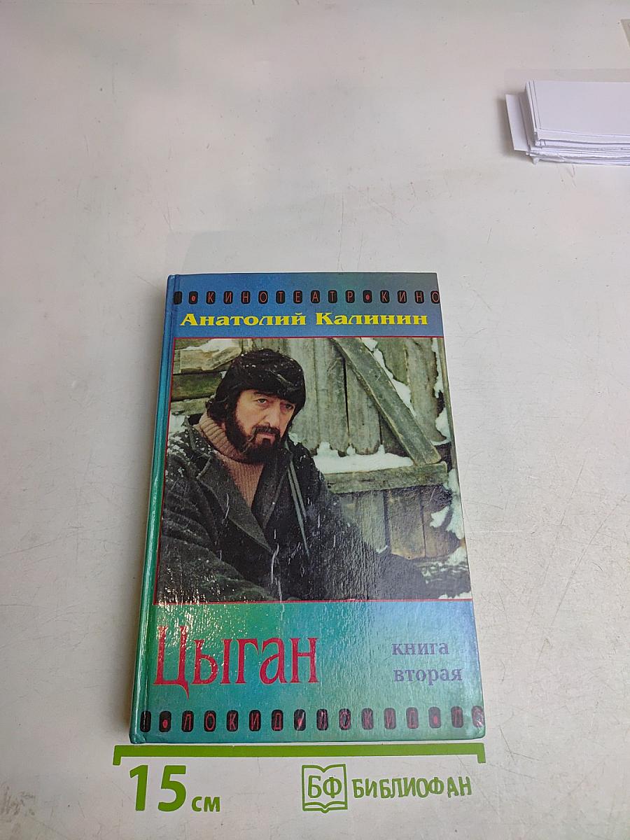 Цыган. Книга вторая
