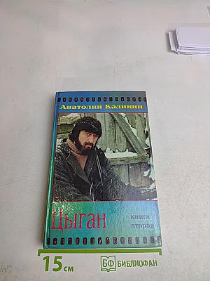 Цыган. Книга вторая