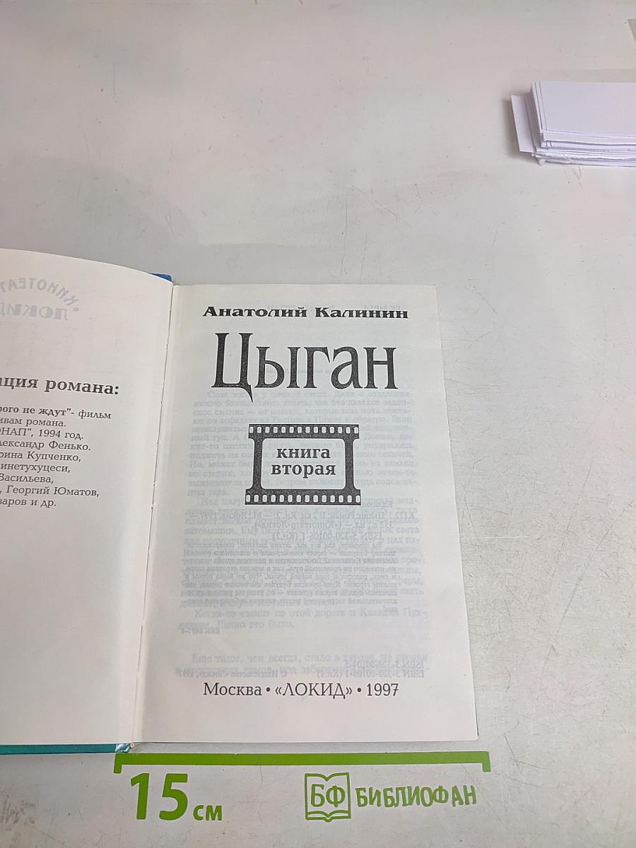 Цыган. Книга вторая