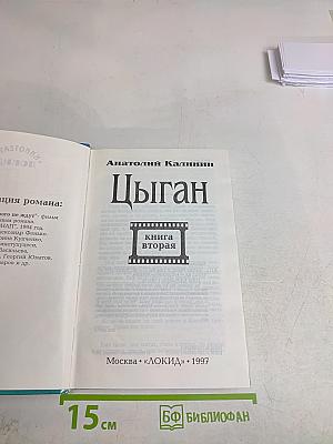 Цыган. Книга вторая