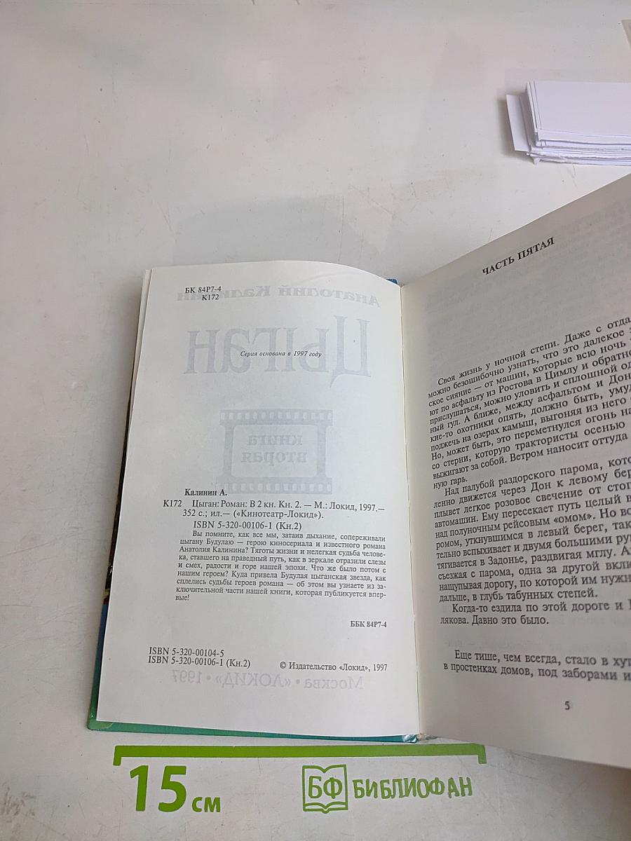 Цыган. Книга вторая