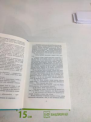 Цыган. Книга вторая