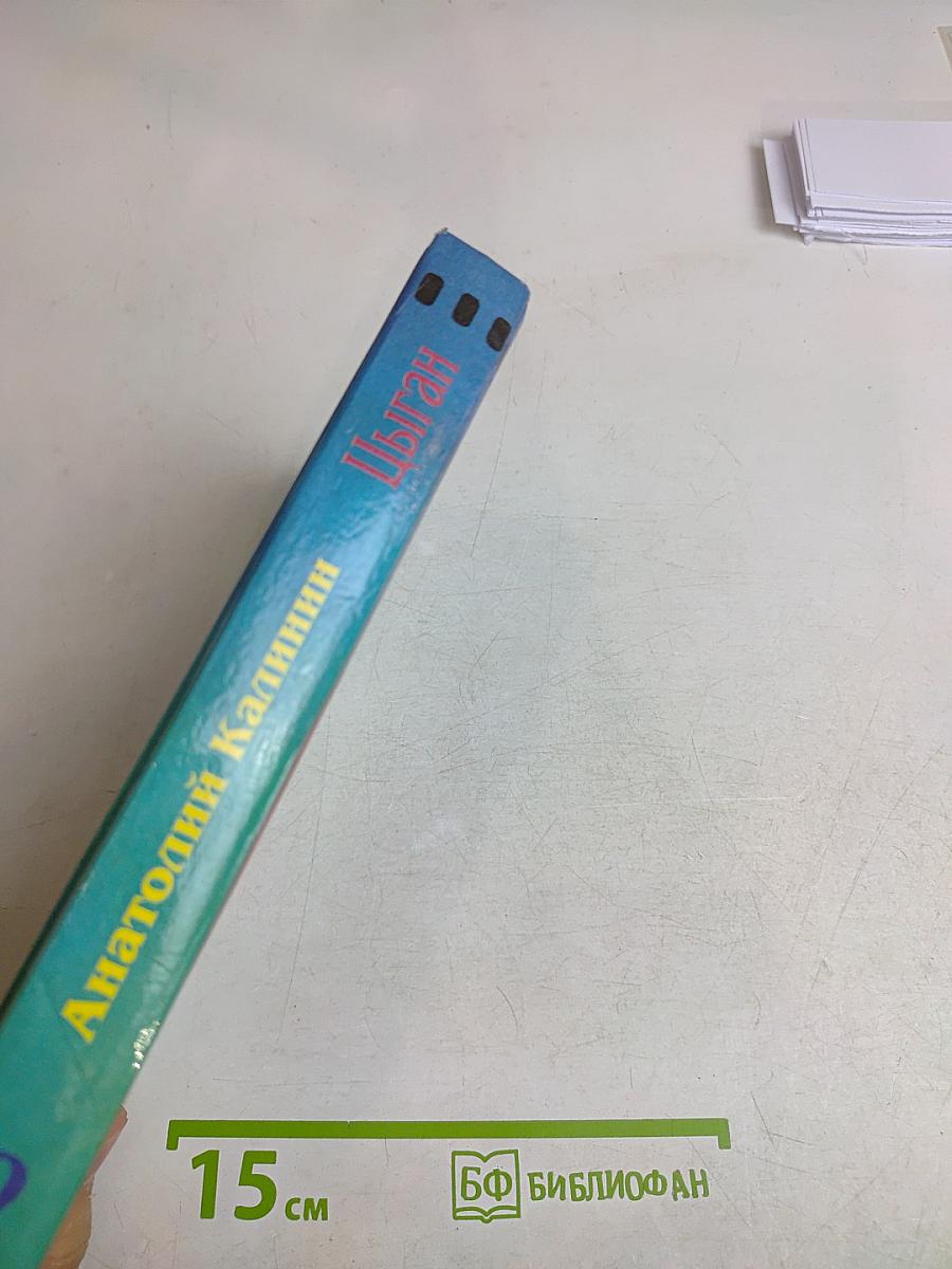 Цыган. Книга вторая