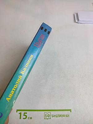 Цыган. Книга вторая