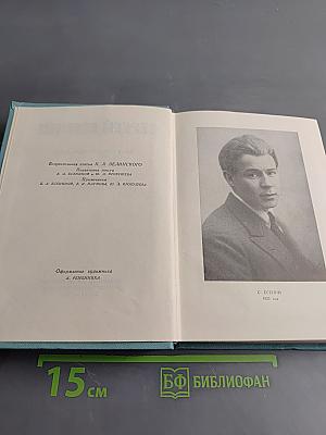 Собрание сочинений. Том первый. Стихотворения и поэмы (1910 - октябрь 1917)