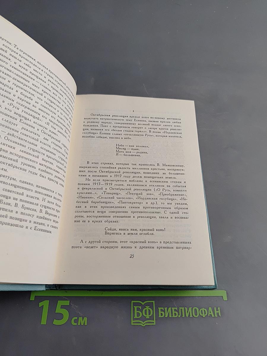 Собрание сочинений. Том первый. Стихотворения и поэмы (1910 - октябрь 1917)