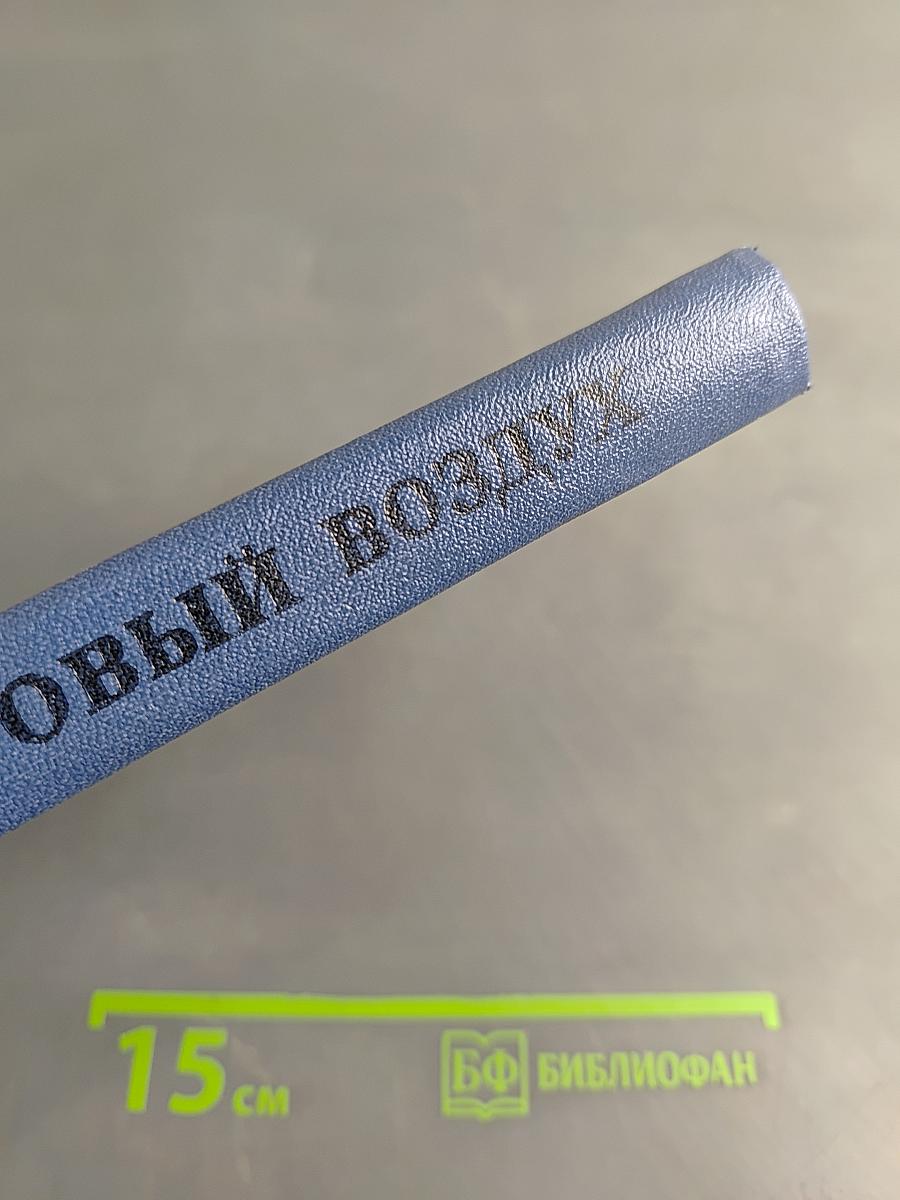 Суровый воздух