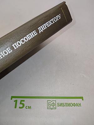Справочное пособие директору производственного объединения. Экономика, организация, планирование, управление. Том 1