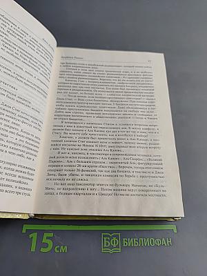 Бандиты Чикаго