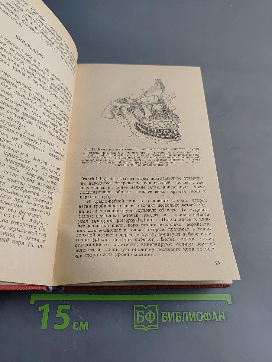 Стоматология