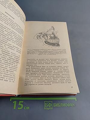 Стоматология