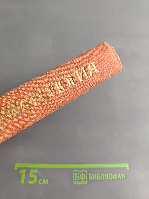 Стоматология
