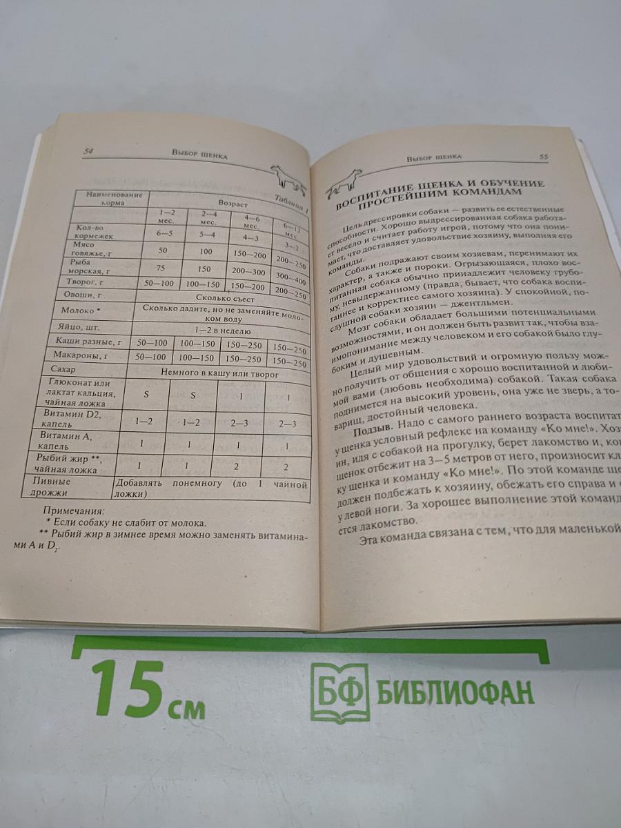 Французский бульдог
