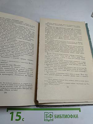 Ледяной дом