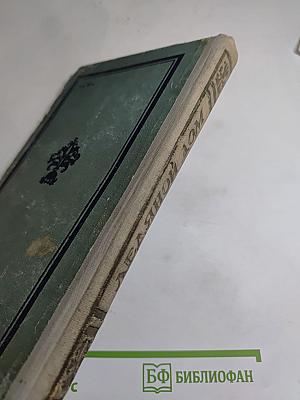 Ледяной дом