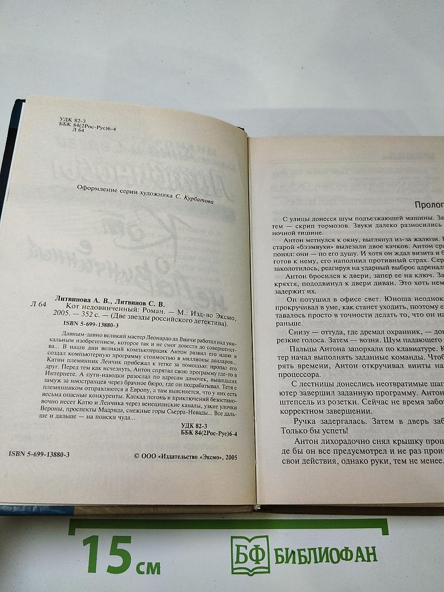 Кот НедаВинчанный