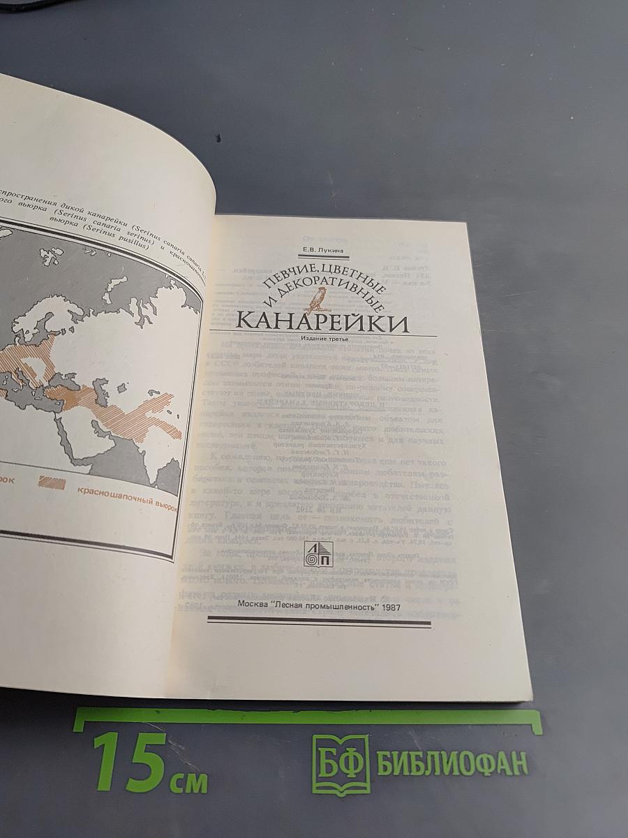 Певчие, цветные и декоративные канарейки