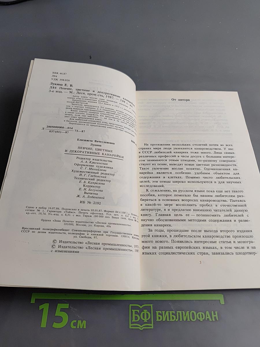 Певчие, цветные и декоративные канарейки