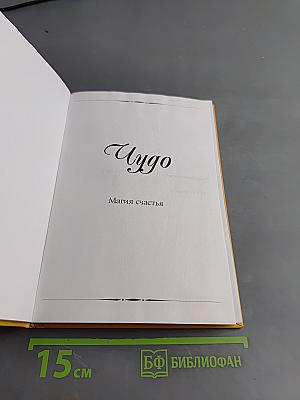 Чудо. Магия счастья