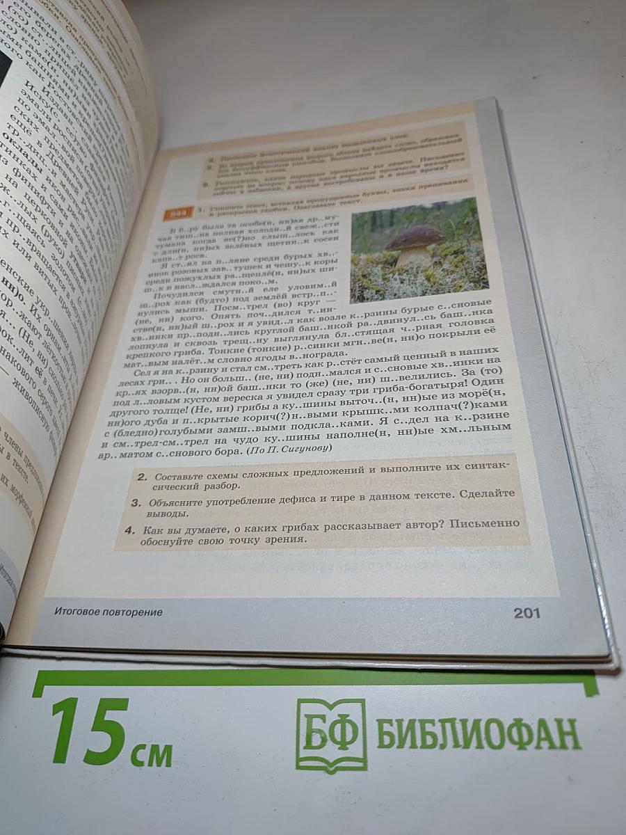 Русский язык. 9 класс