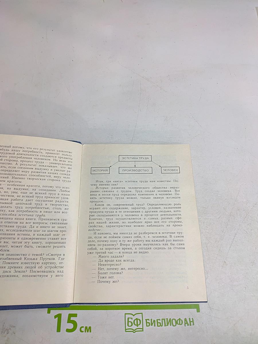 По законам красоты. Школьник об эстетике