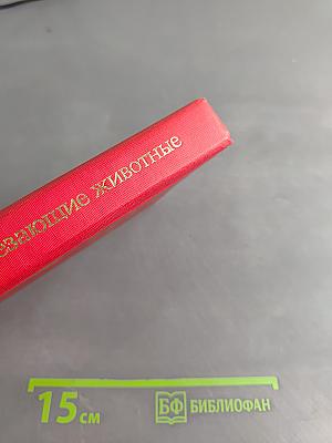 Редкие и исчезающие животные