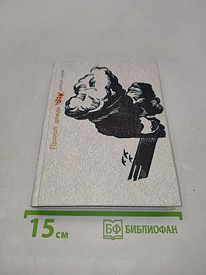 Прямой дождь