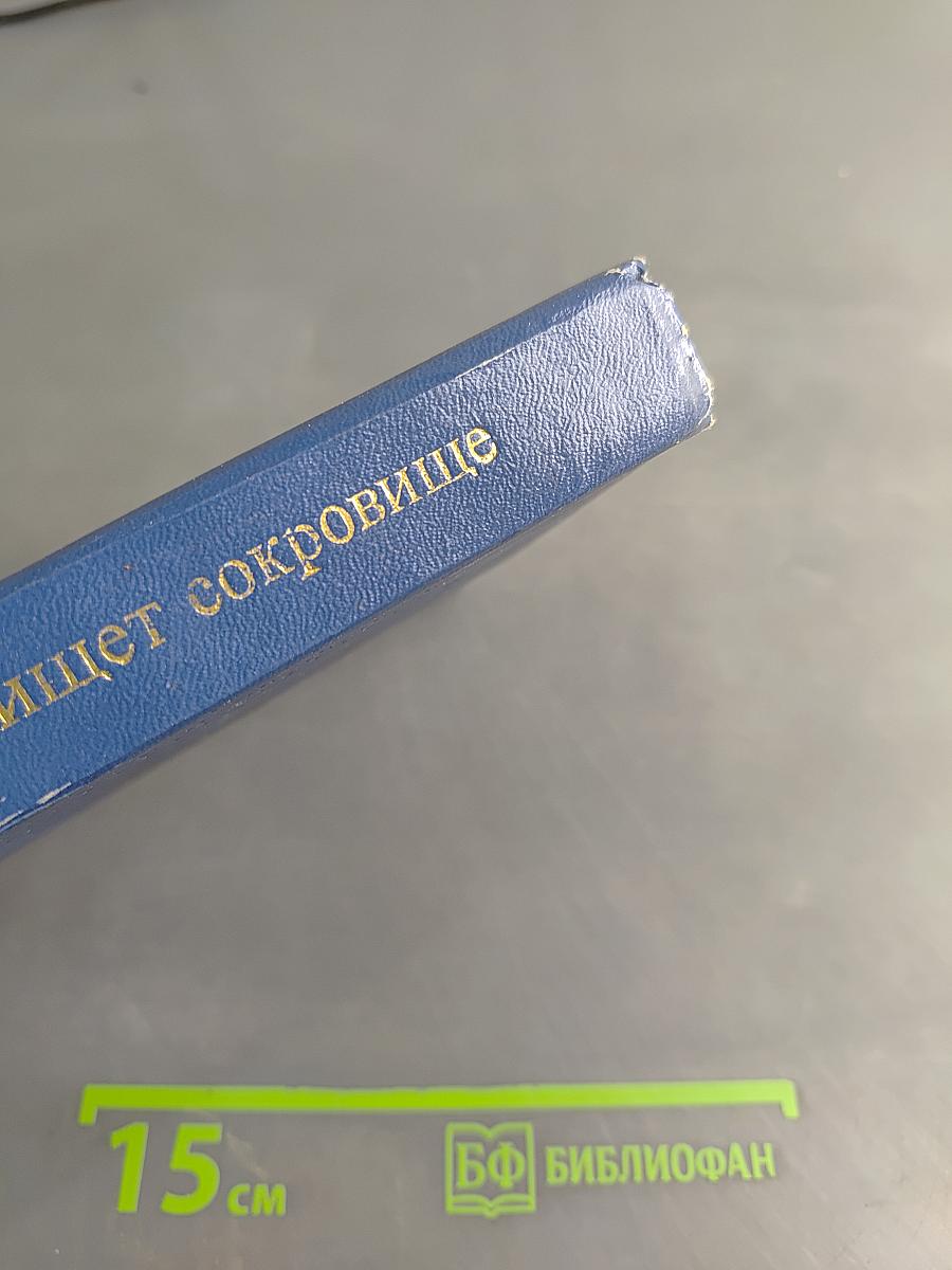 Человек ищет сокровище