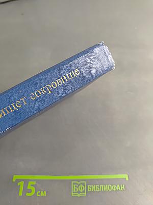 Человек ищет сокровище