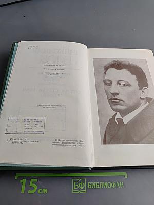 Собрание сочинений в шести томах. Том 4. Очерки, статьи, речи 1905-1921