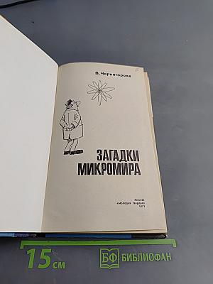 Загадки Микромира