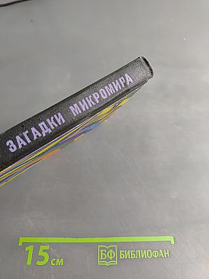 Загадки Микромира
