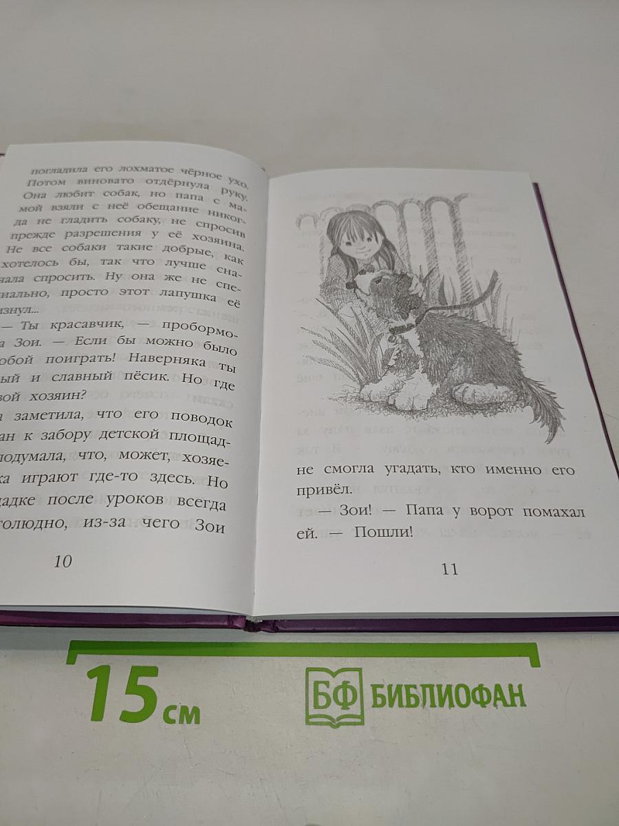 Щенок Скаут, или Мохнатый ученик