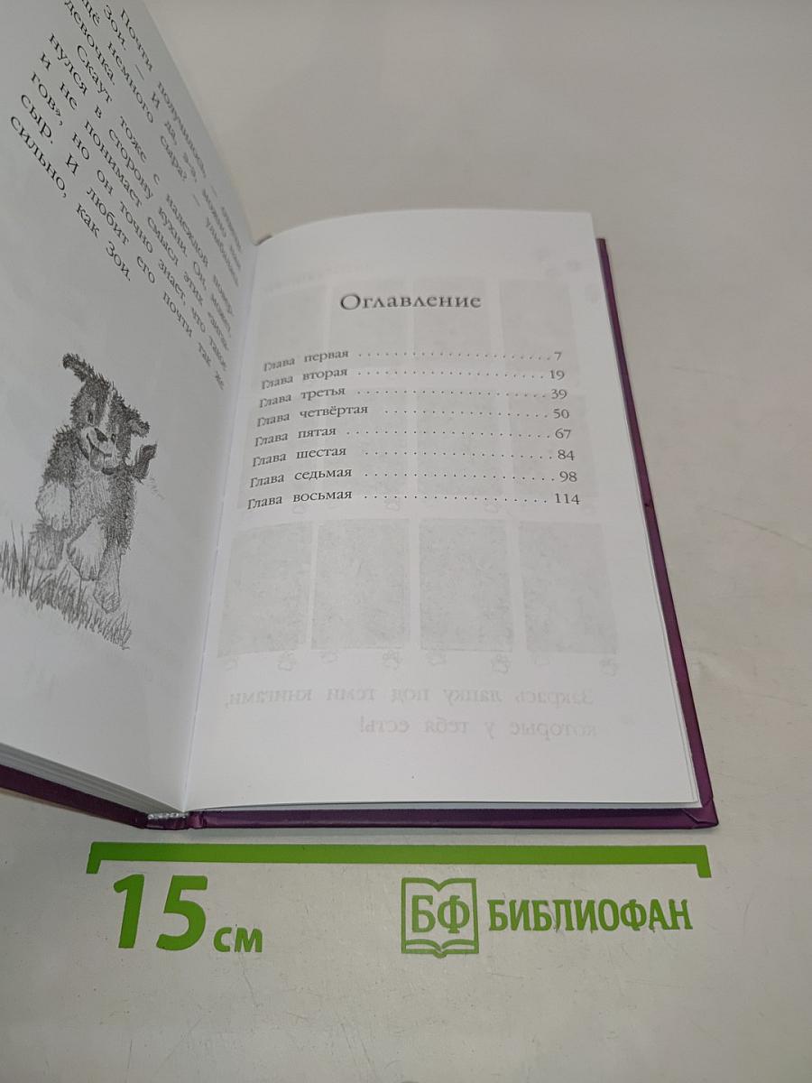 Щенок Скаут, или Мохнатый ученик