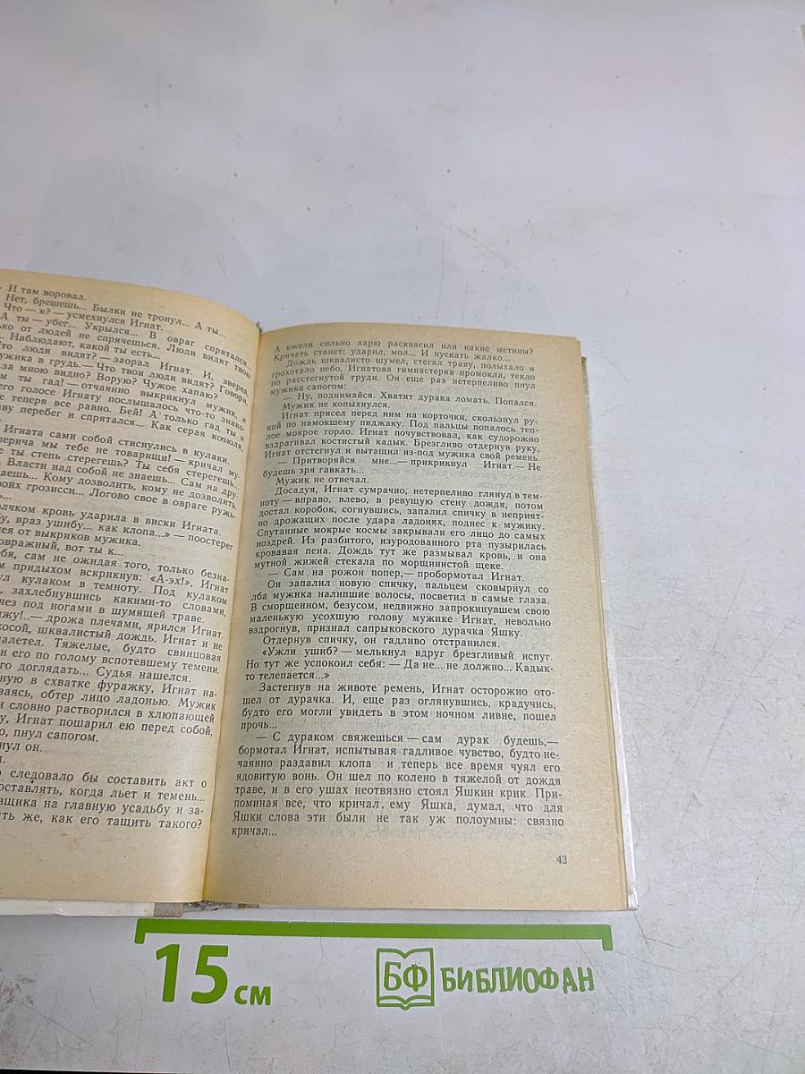 Утятские шлемоносцы