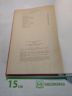 Где наша не пропадала