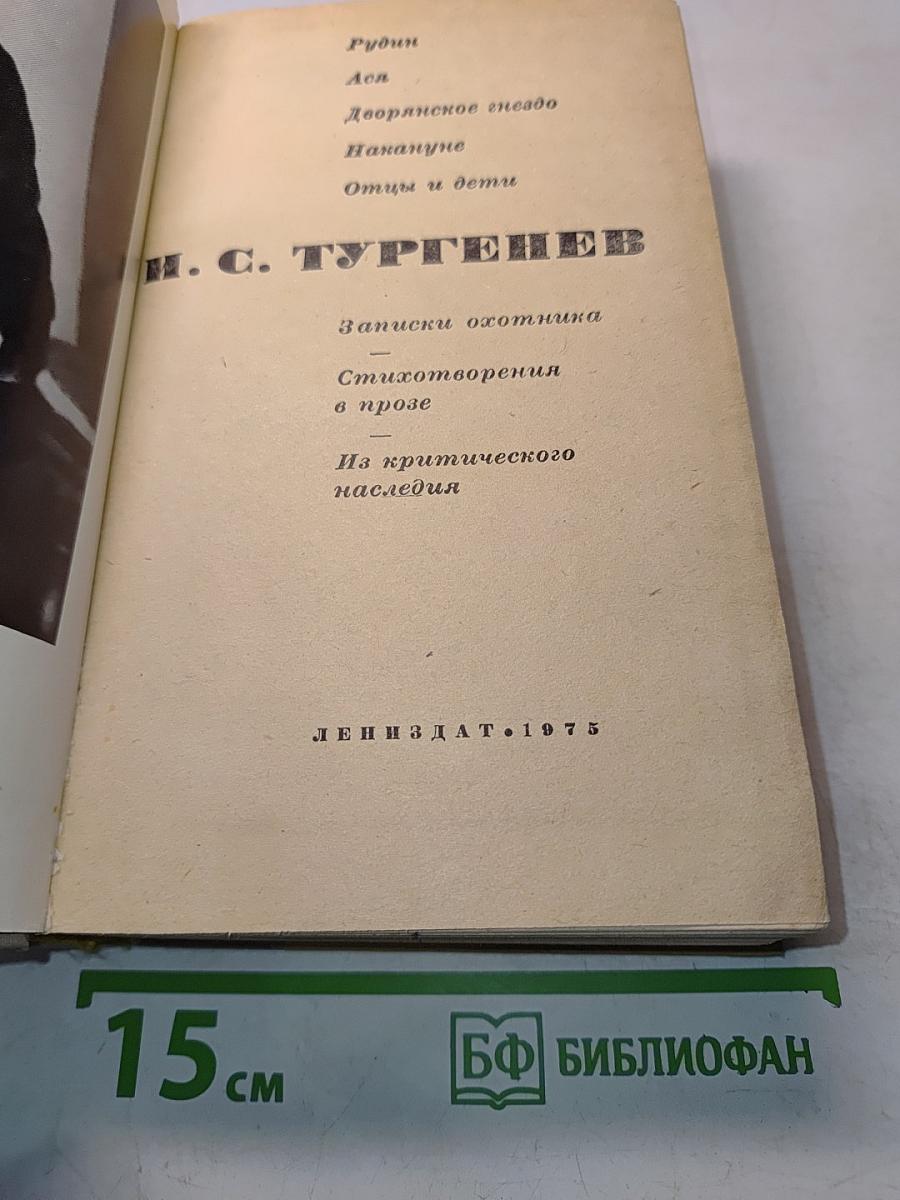 Стихотворения в прозе. Из критического наследия