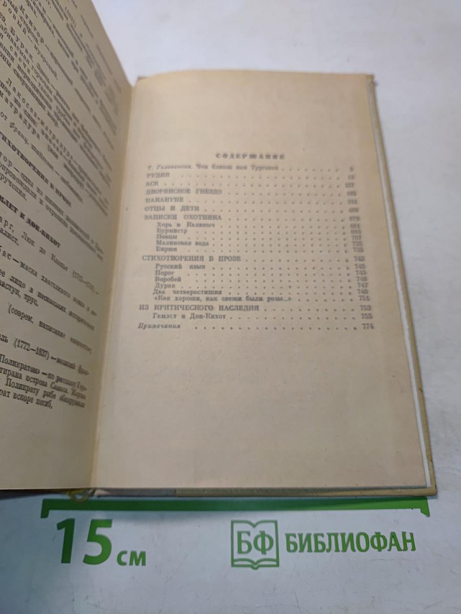 Стихотворения в прозе. Из критического наследия