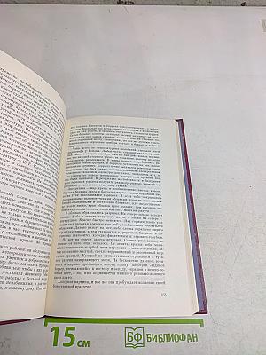 Родина снежных бурь