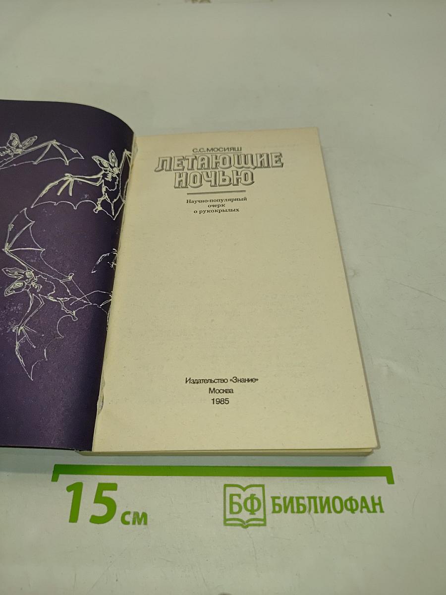 Летающие ночью