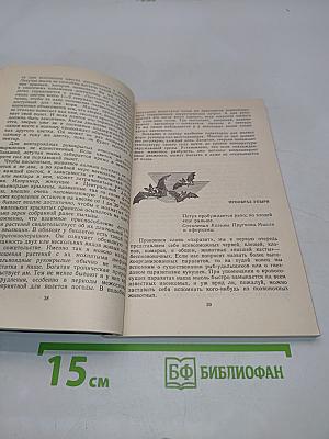 Летающие ночью