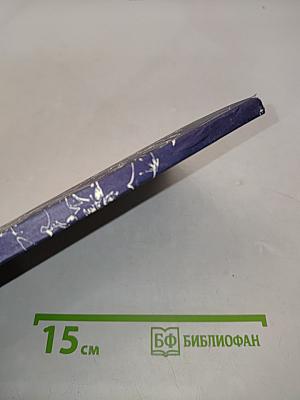 Летающие ночью