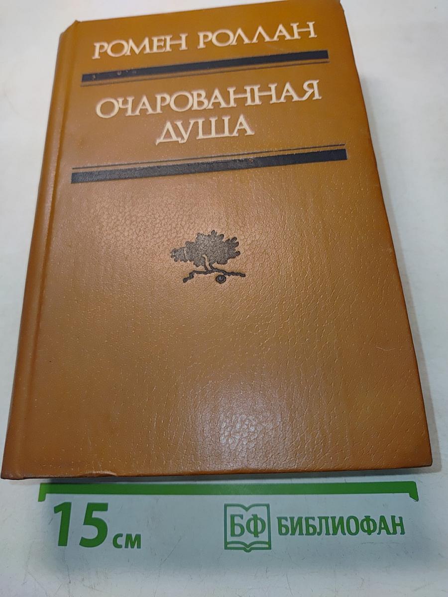 Очарованная душа. Книга четвертая