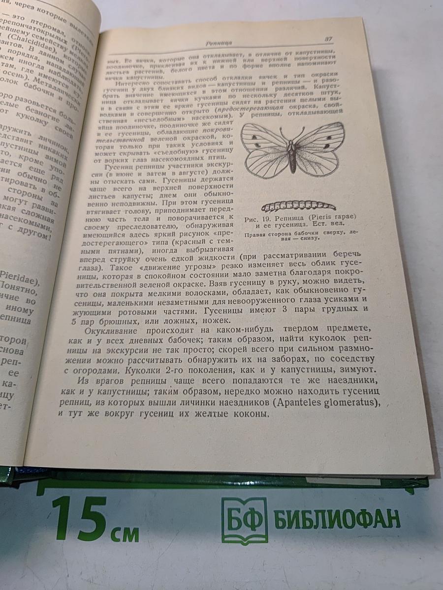 Зоологические экскурсии