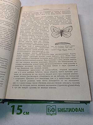 Зоологические экскурсии