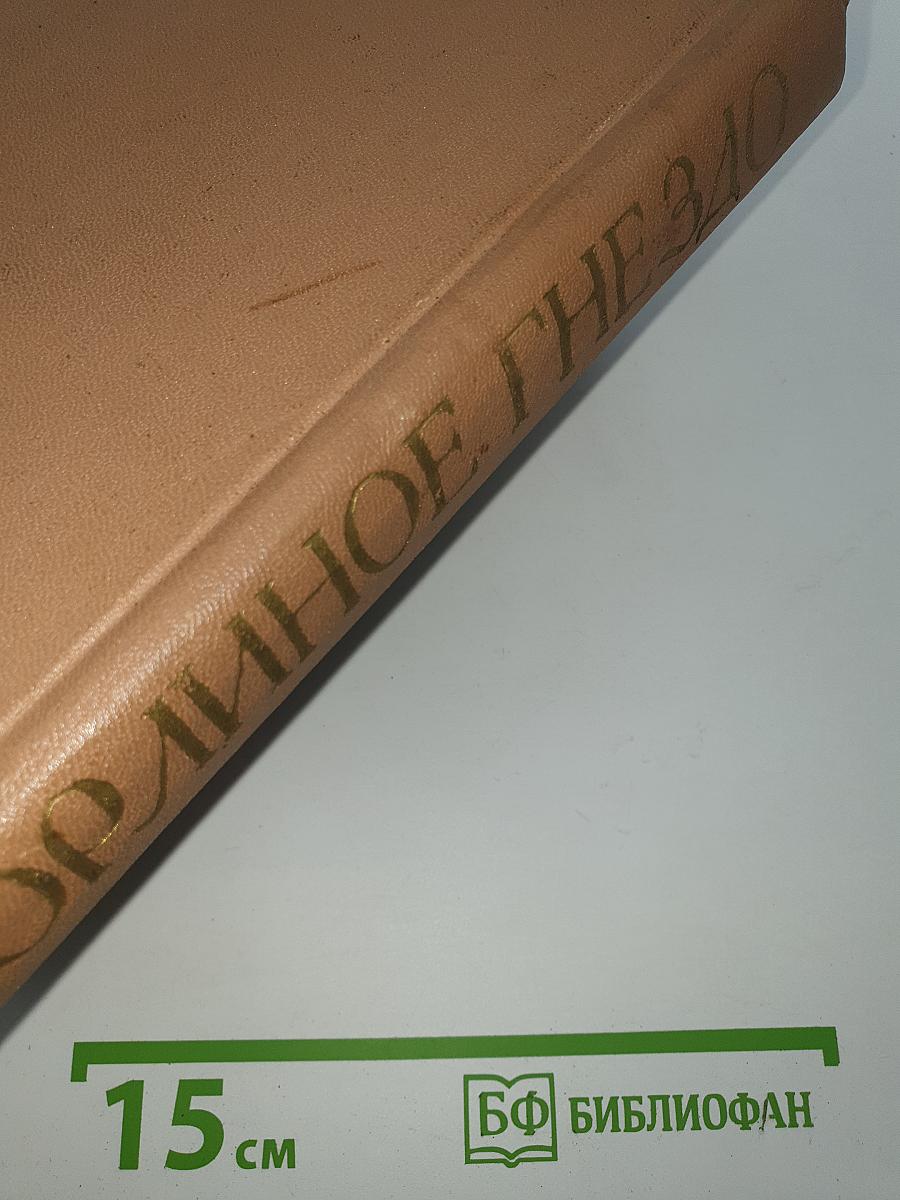 Орлиное Гнездо