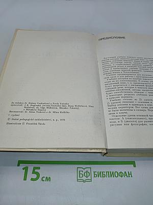 Чешский язык для русских